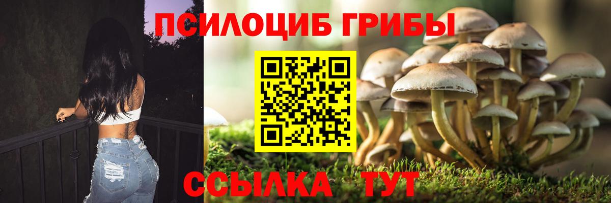 Галлюциногенные грибы Psilocybine cubensis  Галлюциногенные грибы Magic Shrooms  Пыть-Ях  Вход с VPN 